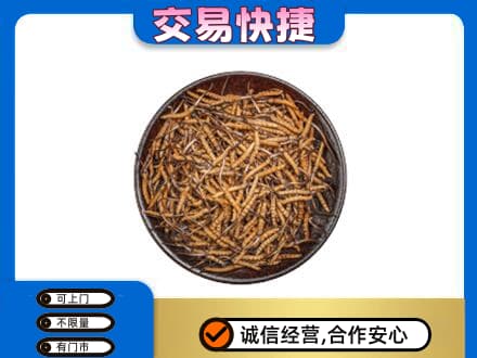 银川高价回收散虫草